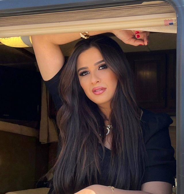 ياسمين عبد العزيز