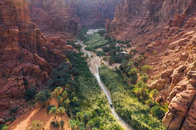 محمية الأمير محمد بن سلمان الملكية 