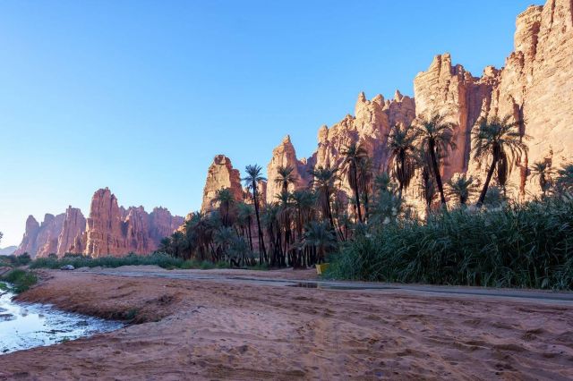 محمية الأمير محمد بن سلمان الملكية 