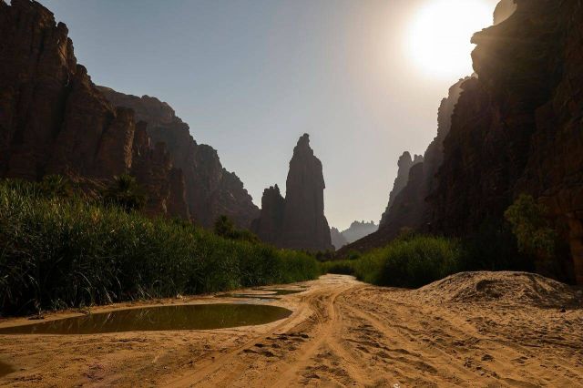 محمية الأمير محمد بن سلمان الملكية 