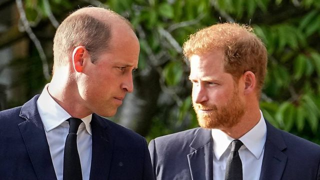 الكشف عن أسرار جديدة حول خلاف الأميرين ويليام وهاري