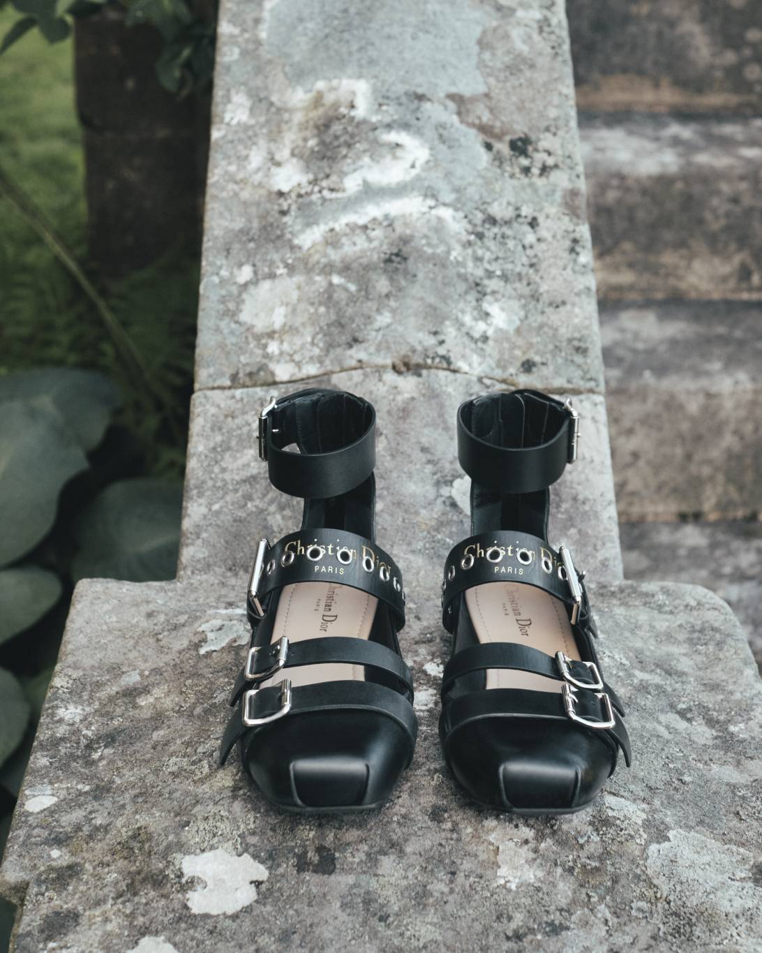 DIOR CRUISE