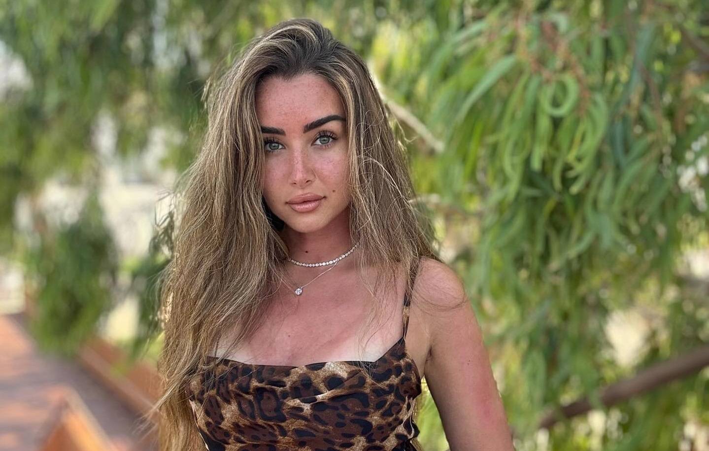 هنا الزاهد