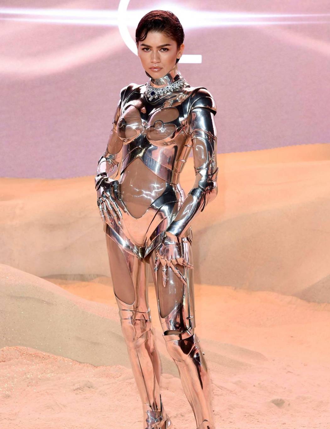 الأضواء والكاميرا و