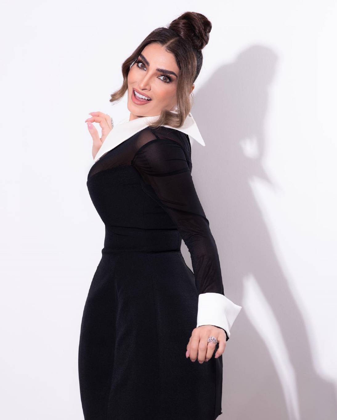 خاص لها - روجينا في مأزق وفنان شهير ينقذ الموقف