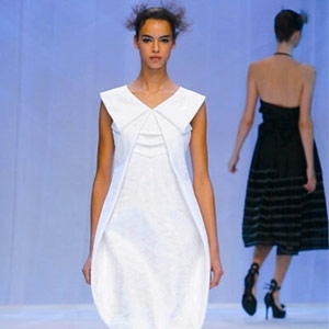 نورس من فانيلا