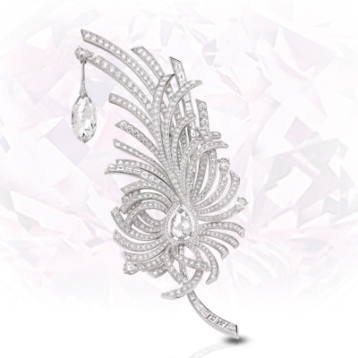 ريشة شانيل Chanel