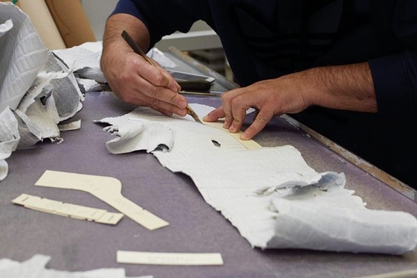 تمساح 'القاطور'