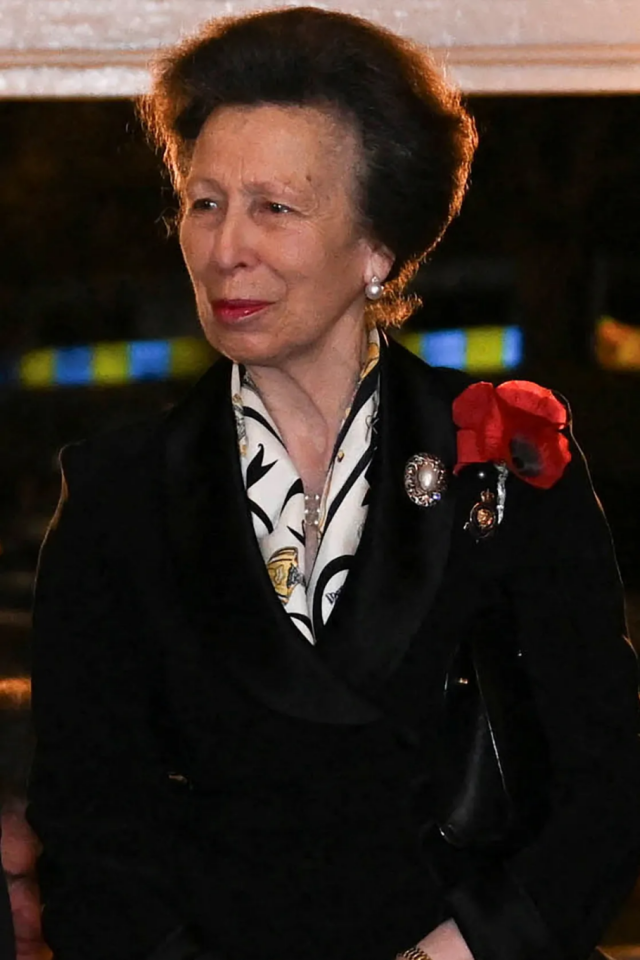 آن الأميرة الملكية