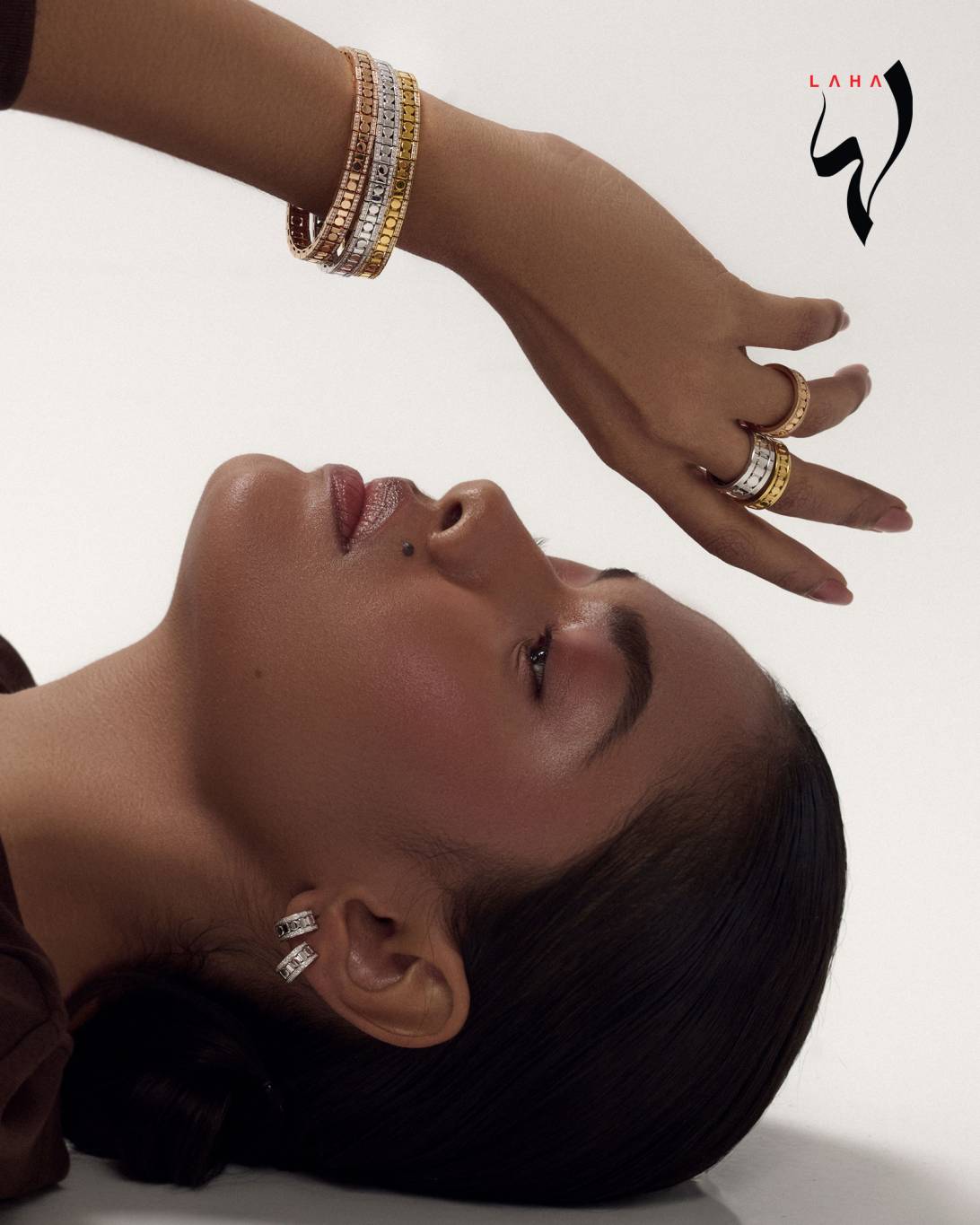 Damiani: فن الحِرفية والجمال