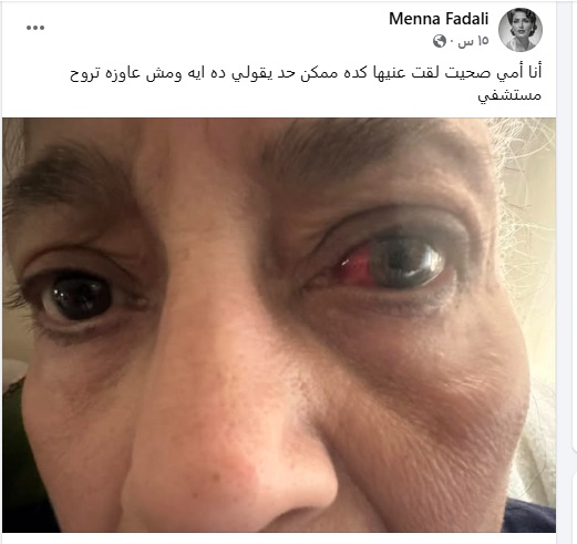 منشور منة فضالي