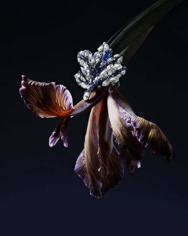 تصاميم مجموعة 