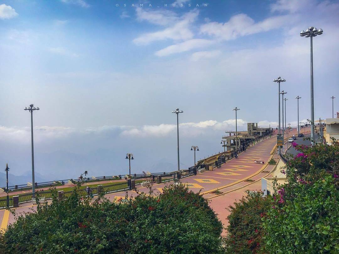 ممشى الضباب ممشى الضباب