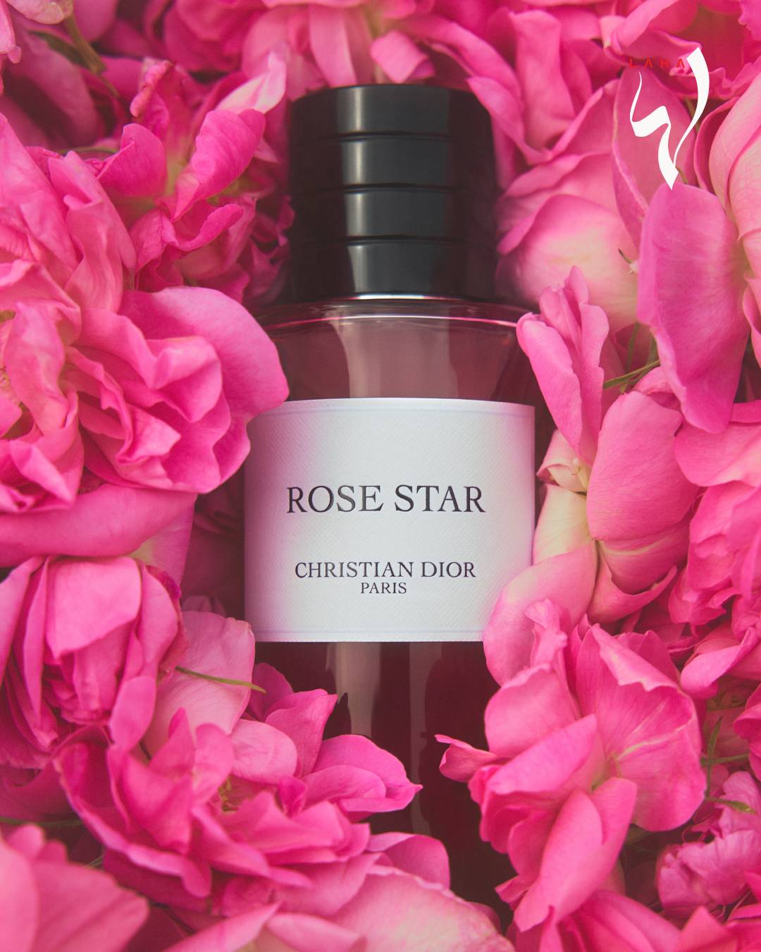 عطر ROSE STAR, Eau de Parfum, La Collection Privée Christian Dior by Francis Kurkdjian من Dior Beauty عطر ROSE STAR, Eau de Parfum, La Collection Privée Christian Dior by Francis Kurkdjian من Dior Beauty