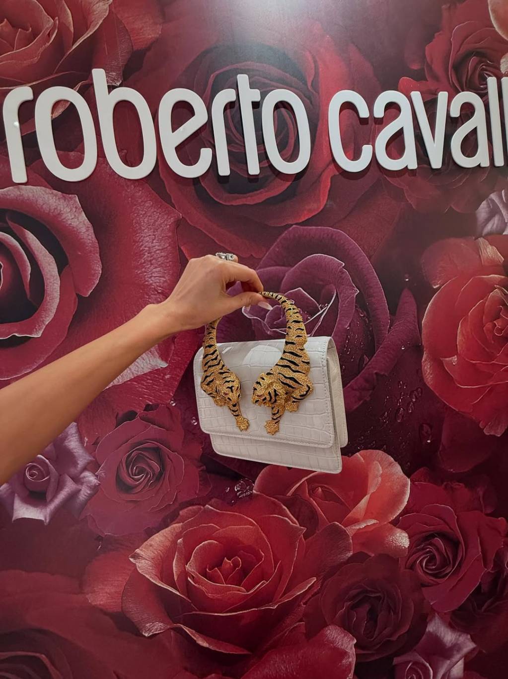 حقيبة من روبيرتو كافاللي Roberto Cavalli حقيبة من روبيرتو كافاللي Roberto Cavalli