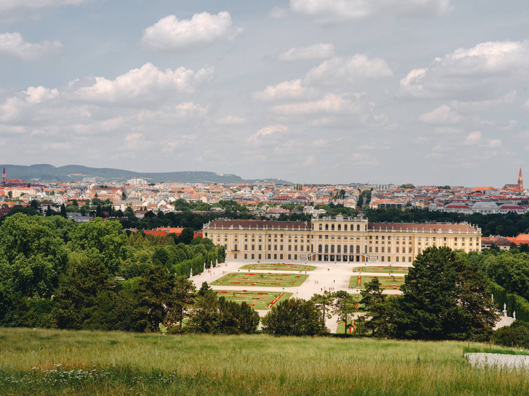 Vienna Vienna