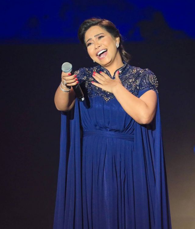 إعلامية تدافع عن شيرين وتتحدث عن الإغتيال المعنوي (فيديو)