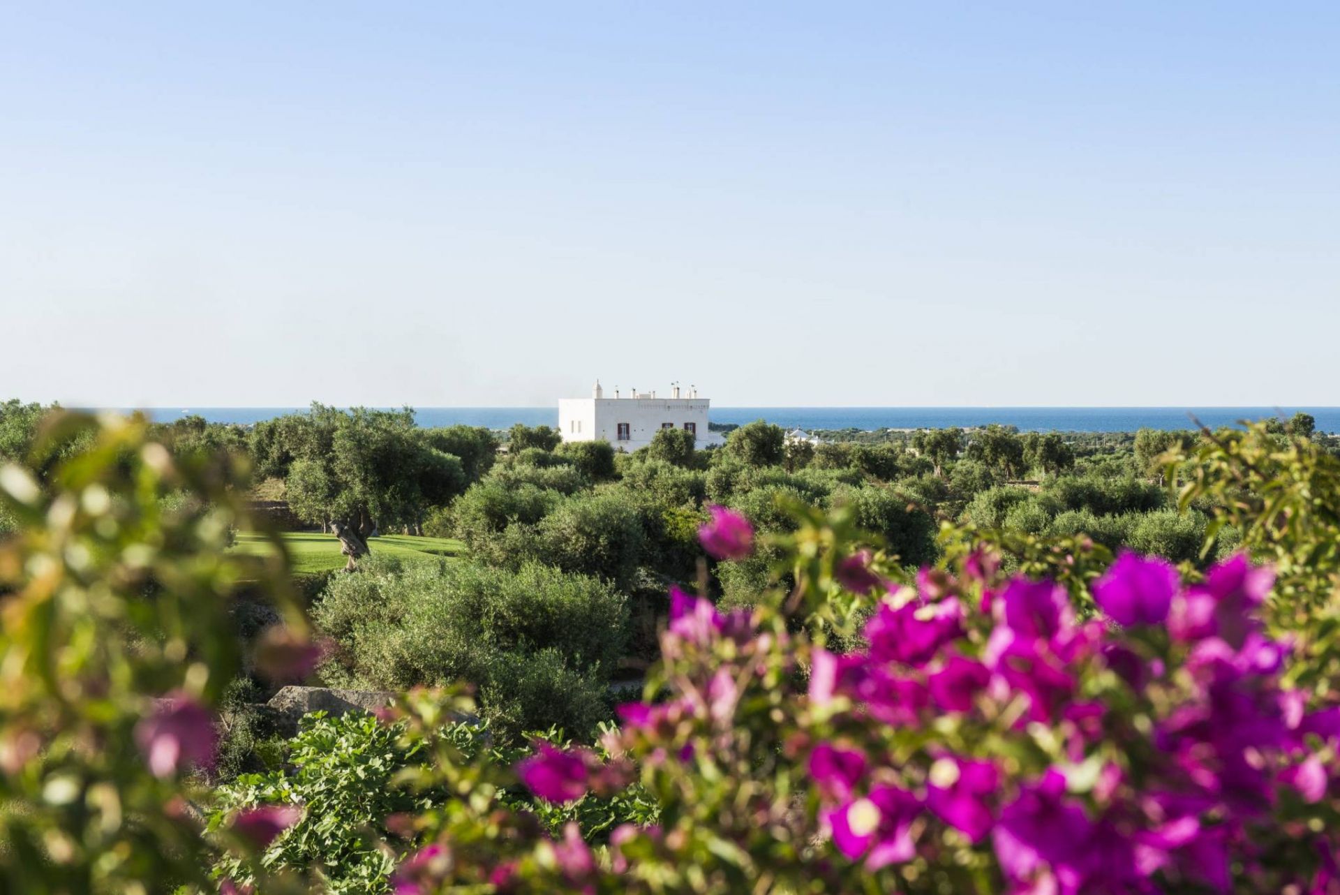 Masseria Torre Maizza Masseria Torre Maizza