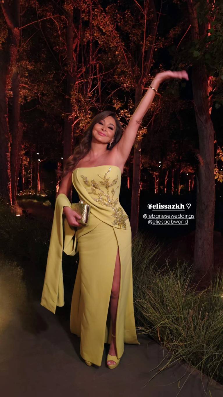 نجمات العالم العربي والعالمي يتألقن بإطلالات مبهرة في حفل زفاف سيليو صعب