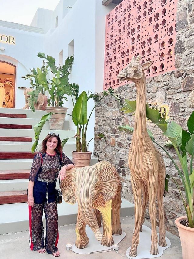 إلهام شاهين من جزيرة ميكونوس