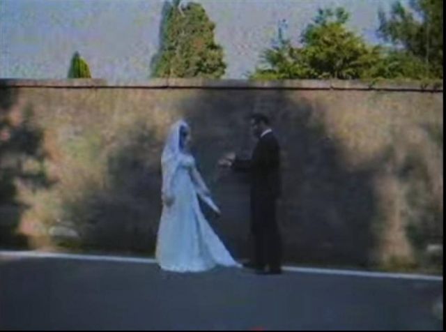 هيفا وهبي بفستان الزفاف