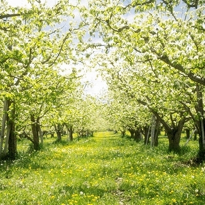 «الإيميل الأخير»