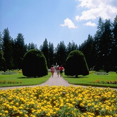 أحلام نهارية