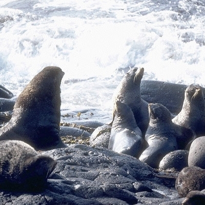 أبطال عاجزون