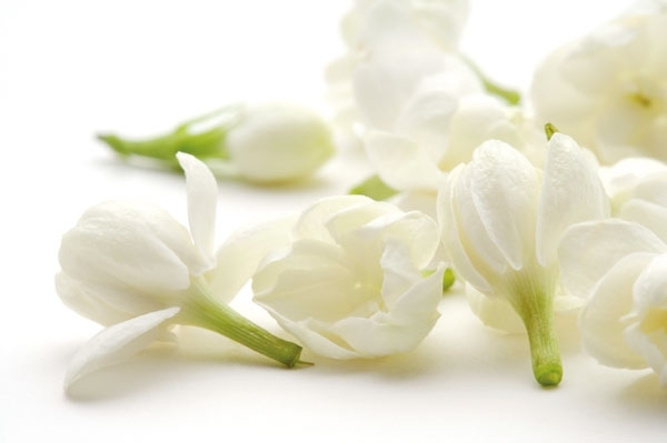 هذه قصة عطر!