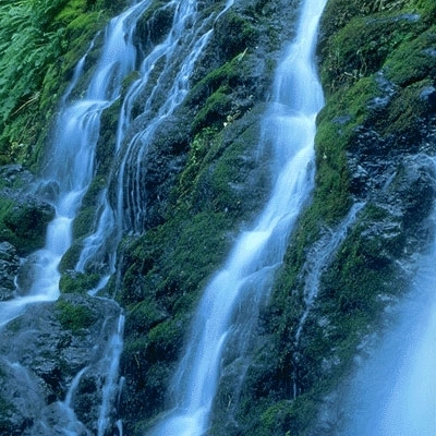 كلام الموسيقى 