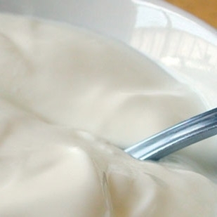 اللبن الزبادي