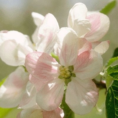 وانتم وش يقال لكم؟ 