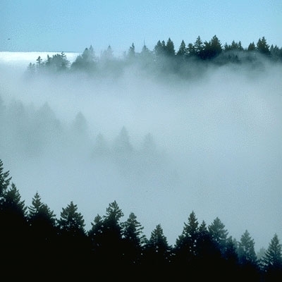 تجّار الهواء