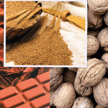 الغذاء الصحي