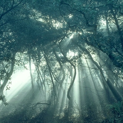 أيام معلّقة 