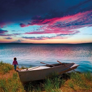 لون السماء، لون الغيم، لماذا لا نطير؟... 