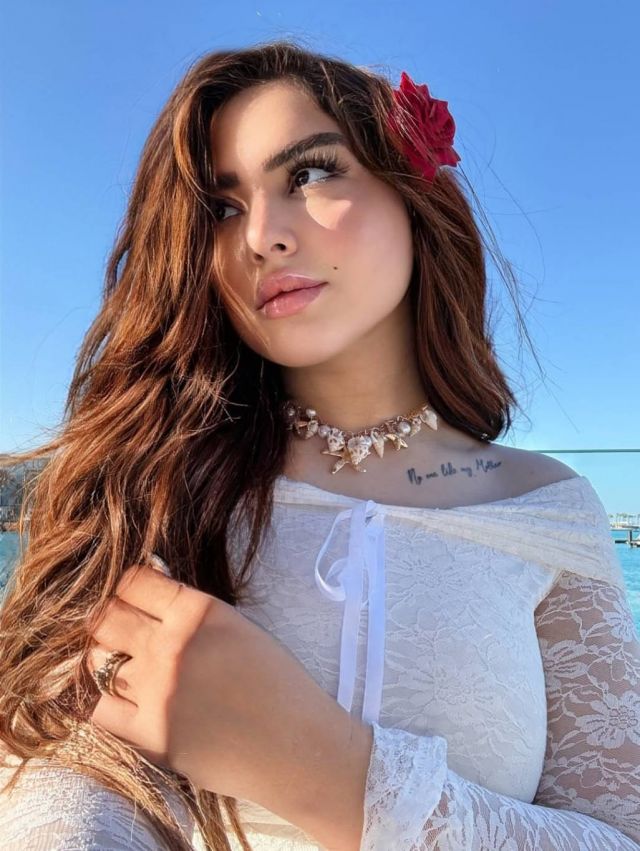 طليقة مسلّم تُصعّد أزمتها مع شقيقته... إلى النيابة العامة (فيديو)