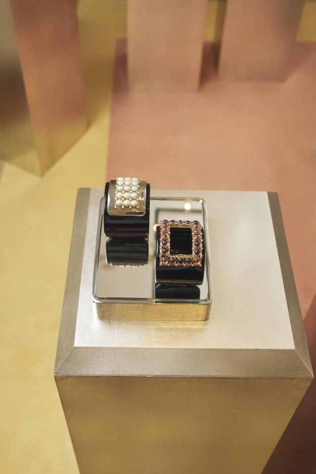 ROGER VIVIER