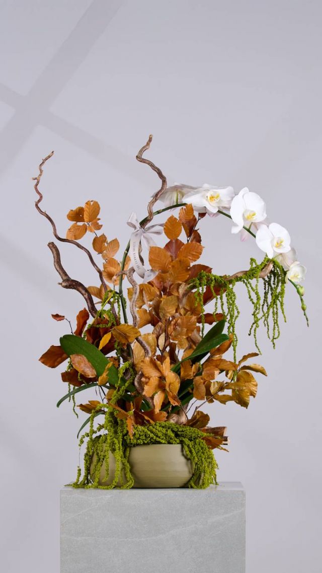 Flower Society - Fall Collection