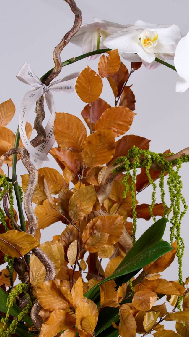 Flower Society - Fall Collection