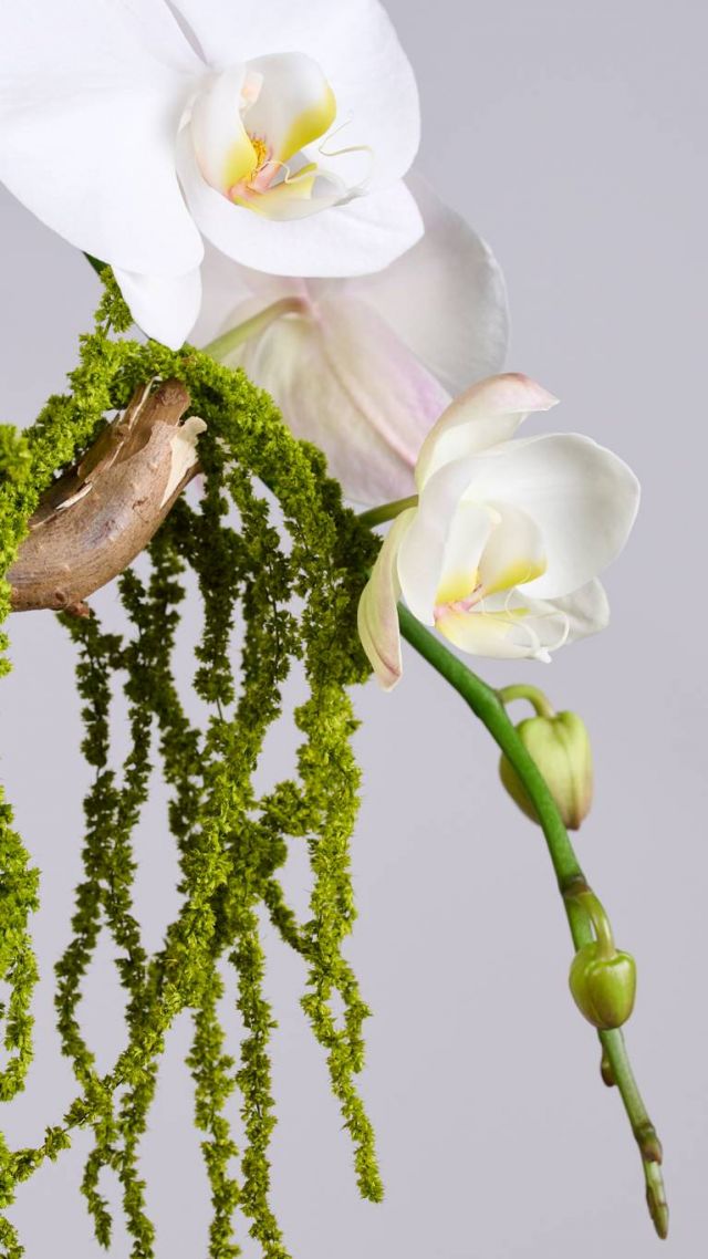 Flower Society - Fall Collection 