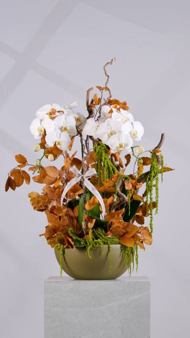 Flower Society - Fall Collection 