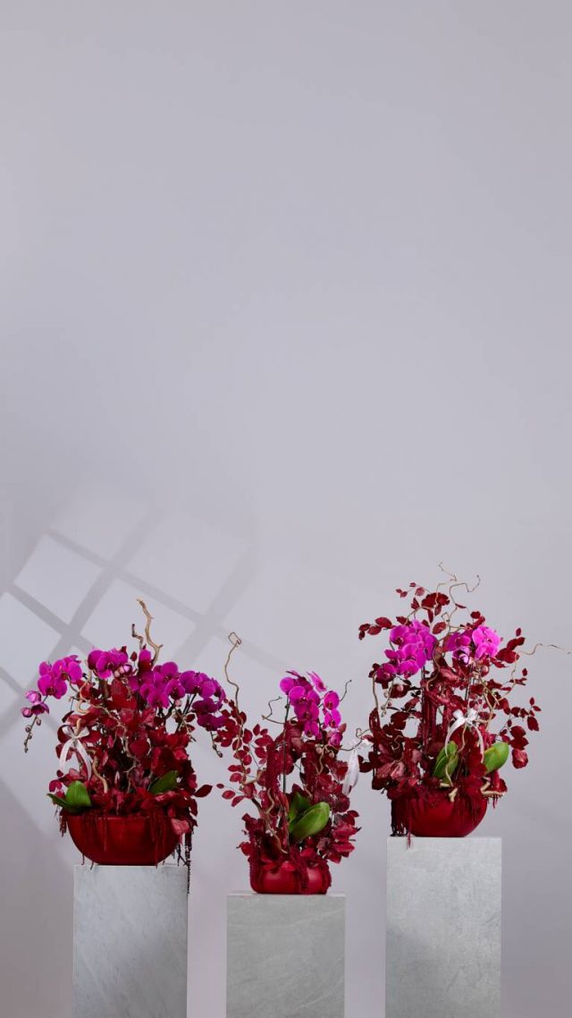 Flower Society - Fall Collection