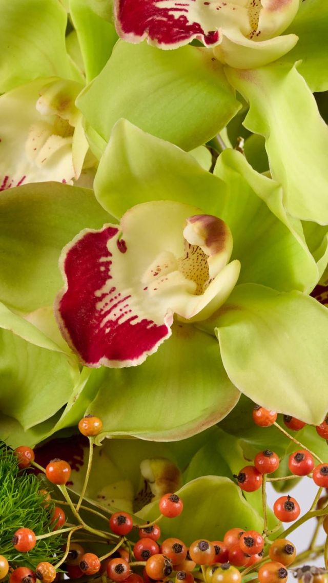 Flower Society - Fall Collection 