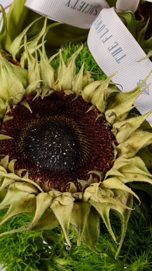 Flower Society - Fall Collection