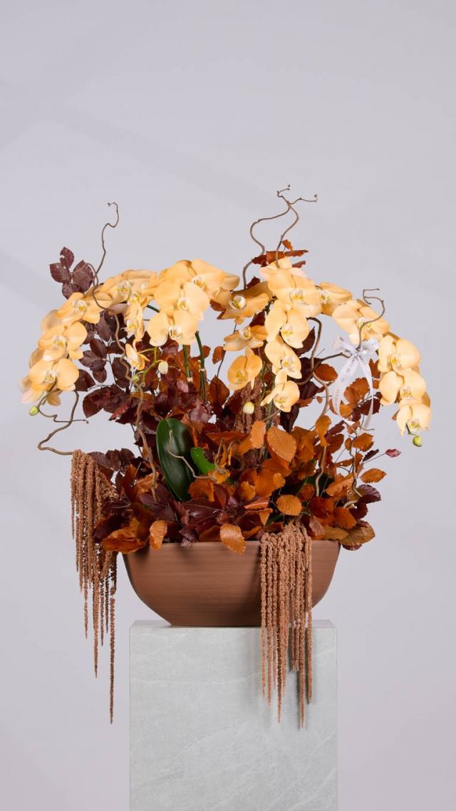 Flower Society - Fall Collection 