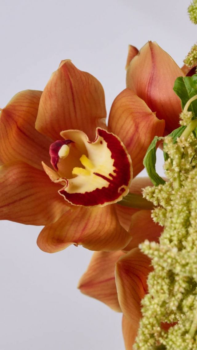 Flower Society - Fall Collection