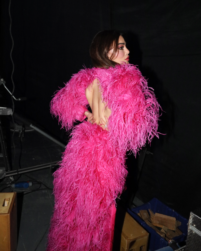 Haifa Wehbe in Rami Kadi 