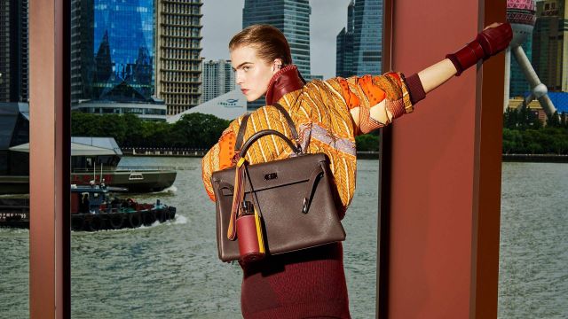 من الأرض إلى الأناقة: كيف تعكس ألوان 