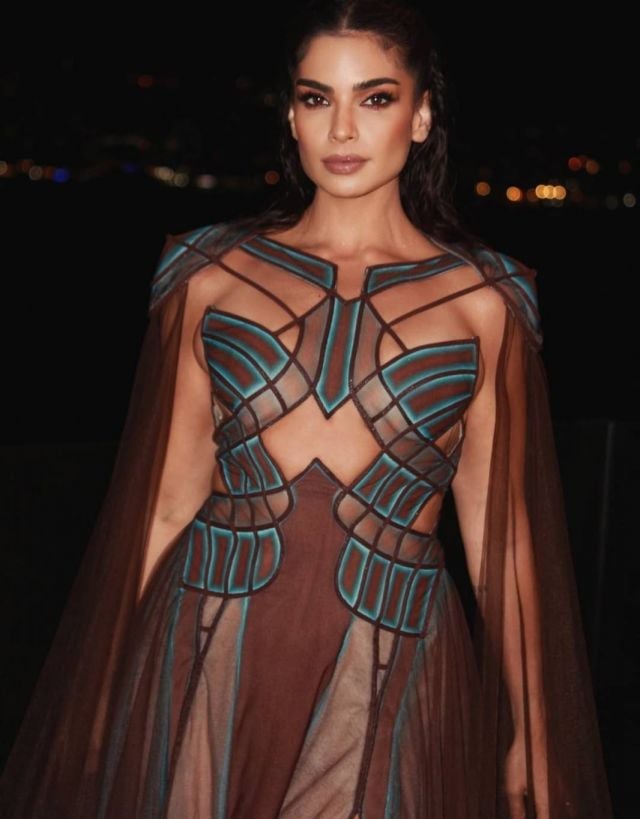 ريتا حايك تعلن عن حملها بطريقة لطيفة (فيديو)